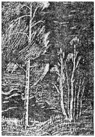 «Плач дощу». 1970-і рр. Лінорит